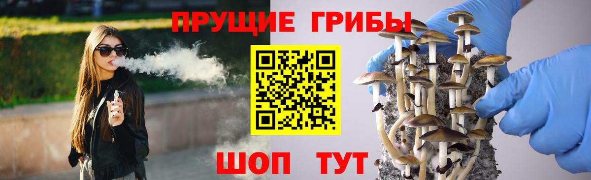 Псилоцибиновые грибы Psilocybe Сызрань