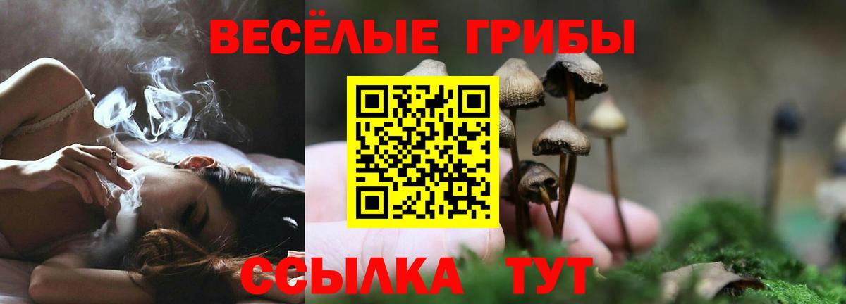 Галлюциногенные грибы мицелий  сколько стоит  Сызрань  Вход с VPN  Галлюциногенные грибы Magic Shrooms 